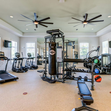 Naturally lit, fully equipped gym with ceiling fans