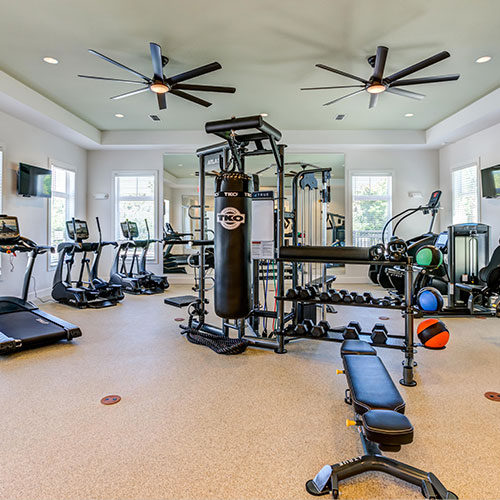 Naturally lit, fully equipped gym with ceiling fans